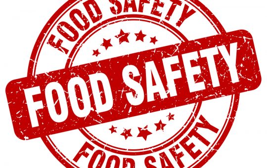 Home Safety in Salt Lake City