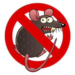 Rodent Damage Coverage for your car in Salt Lake City