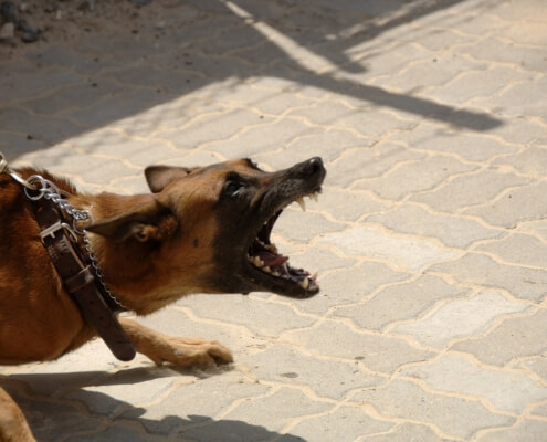 Insurance Agent Salt Lake City, UT