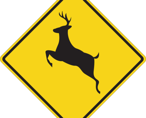 How to lower your risk for a deer collision